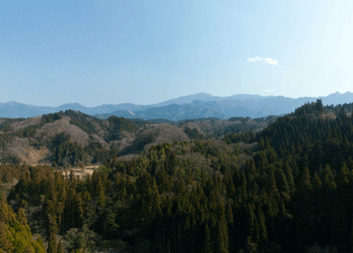竹田の山々