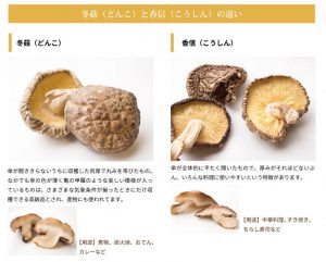 姫野一郎商店_冬菇・香信_違い